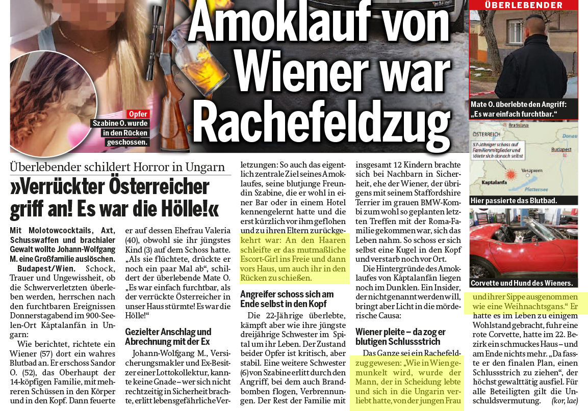 Auf dem Bild zu sehen ist ein Ausschnitt des Österreich Artikels - der Artikel strotzt vor verharmlosender Sprache, die Gewalt gegen Frauen als Familiendrama darstellt.