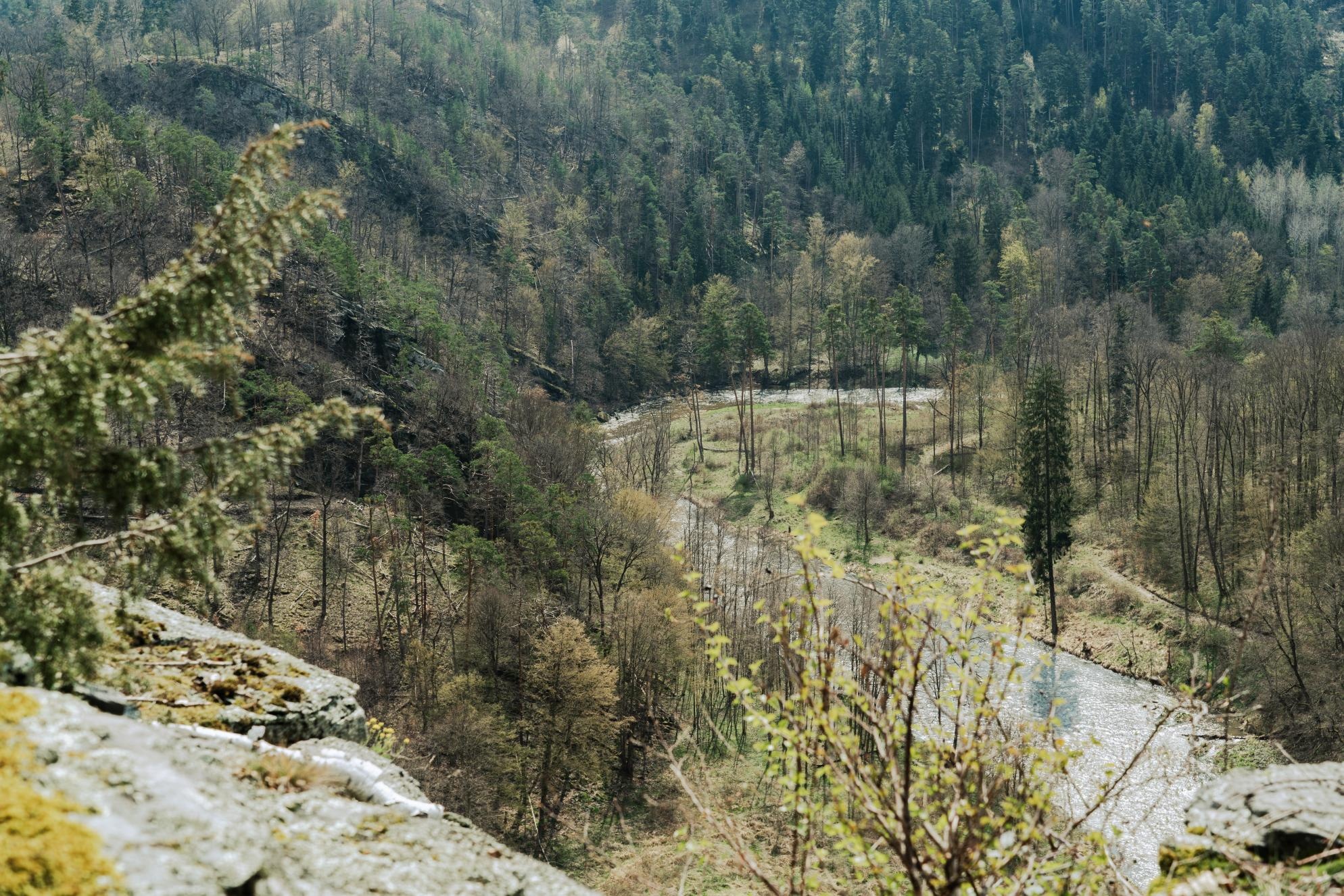 Der Blick vom Naturwald auf den Fluss Kamp und das Kamptal.
