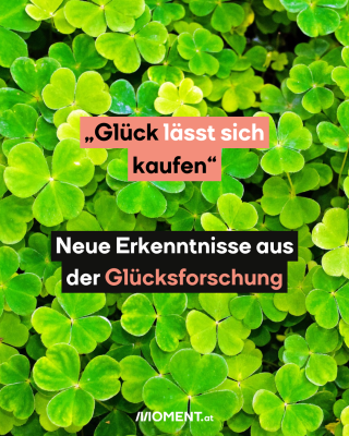 grüne Glücks-Klee-Wiese