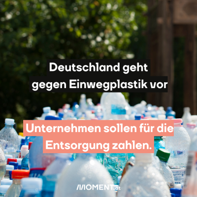 man sieht plastikmüll