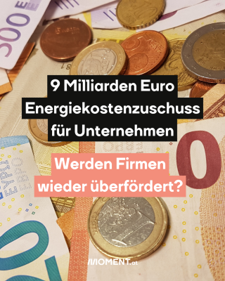 Euroscheine und Münzen, dazu der Text: 9 Milliarden Euro Energiekostenzuschuss für Unternehmen - Werden Firmen wieder überfördert?
