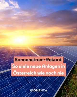 Auf dem Bild sind viele Photovoltaik-Anlagen mit einer untergehenden Sonne im Hintergrund zu sehen. Text: Sonnenstrom-Rekord: So viele neue Anlagen in Österreich wie noch nie.