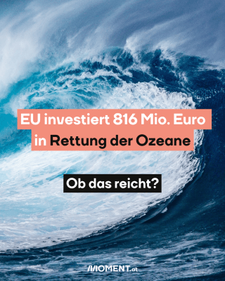 EU investiert 816 Mio. Euro    in Rettung der Ozeane.  Ob das reicht?  