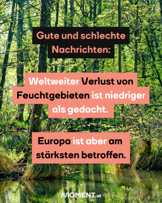 Weltweiter Verlust von Feuchtgebieten ist niedriger als gedacht. Europa ist aber am  stärksten betroffen.