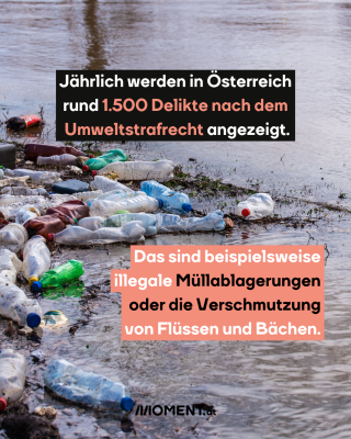 An einem Wasserrand sind viele Plastikflaschen zu sehen. Dazwischen lugt etwas Gras heraus.
