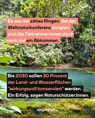 #2 See in Waldgebiet, dazu der Text: Es war ein zähes Ringen: Bei der Weltnaturkonferenz einigten sich die Teilnehmer:innen doch noch auf ein Abkommen. Bis 2030 sollen 30 Prozent der Land- und Wasserflächen "wirkungsvoll konserviert" werden. Ein Erfolg, sagen Naturschützer:innen.