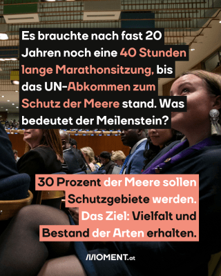 UN-Sitzung, dazu der Text: Es brauchte nach fast 20 Jahren noch eine 40 Stunden lange Marathonsitzung, bis das UN-Abkommen zum Schutz der Meere stand. Was bedeutet der Meilenstein? 30 Prozent der Meere sollen Schutzgebiete werden. Das Ziel: Vielfalt und Bestand der Arten erhalten.