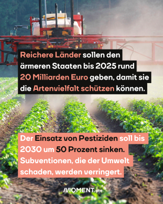 #3 Pestizid-Traktor auf Feld, dazu der Text: Reichere Länder sollen den ärmeren Staaten bis 2025 rund 20 Milliarden Euro geben, damit sie die Artenvielfalt schützen können. Der Einsatz von Pestiziden soll bis 2030 um 50 Prozent sinken. Subventionen, die der Umwelt schaden, werden verringert.