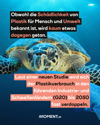 Schildkröte mit einer Plastiktüte. Text: Obwohl die Schädlichkeit von   Plastik für Mensch und Umwelt   bekannt ist, wird kaum etwas   dagegen getan. Laut einer neuen Studie wird sich   der Plastikverbrauch in den   führenden Industrie- und   Schwellenländern (<span class=