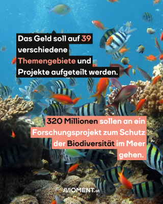 Das Geld soll auf 39   verschiedene   Themengebiete und   Projekte aufgeteilt werden.  320 Millionen sollen an ein   Forschungsprojekt zum Schutz   der Biodiversität im Meer   gehen.  