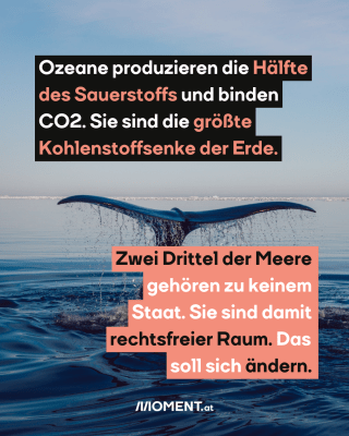 Walflosse an der Meeresoberfläche, dazu der Text: Ozeane produzieren die Hälfte des Sauerstoffs und binden Kohlenstoff. Sie sind die größte CO2-Senke der Erde. Zwei Drittel der Meere gehören zu keinem Staat. Sie sind damit rechtsfreier Raum. Das soll sich ändern.