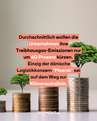 Münzen mit Bäume. Text:  Durchschnittlich wollen die   Unternehmen ihre   Treibhausgas-Emissionen nur   um 40 Prozent kürzen.     Einzig der dänische   Logistikkonzern "Maersk" sei   auf dem Weg zur   <span class=