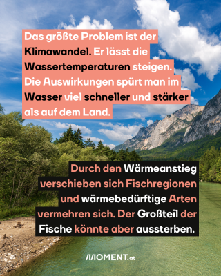 Berge und Fluss. Text: Das größte Problem ist der   Klimawandel. Er lässt die   Wassertemperaturen steigen.   Die Auswirkungen spürt man im   Wasser viel schneller und stärker   als auf dem Land.  Durch den Wärmeanstieg   verschieben sich Fischregionen   und wärmebedürftige Arten   vermehren sich. Der Großteil der   Fische könnte aber aussterben. 