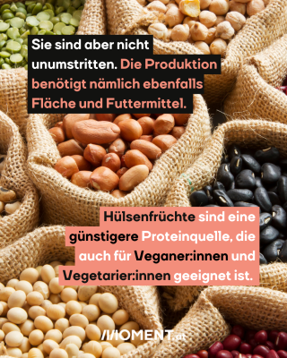 Verschiedene Hülsenfrüchte in Säcken. Text:  Sie sind aber nicht unumstritten. Die Produktion benötigt nämlich ebenfalls Fläche und Futtermittel.   Hülsenfrüchte sind eine günstigere Proteinquelle, die auch für Veganer:innen und Vegetarier:innen geeignet ist.