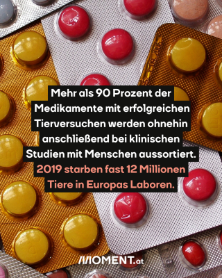 Verschiedene Medikamentenpackungen. Text:  Mehr als 90 Prozent der   Medikamente mit erfolgreichen  Tierversuchen werden ohnehin   anschließend bei klinischen   Studien mit Menschen aussortiert.   2019 starben fast 12 Millionen   Tiere in Europas Laboren. 