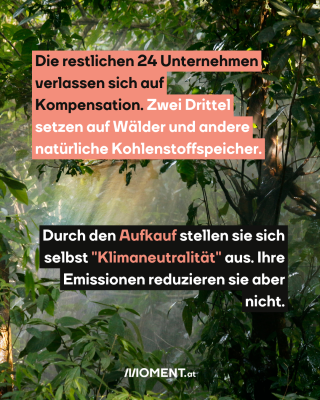 Dschungel. Text: Die restlichen 24 Unternehmen   verlassen sich auf   Kompensation. Zwei Drittel   setzen auf Wälder und andere   natürliche Kohlenstoffspeicher.Durch den Aufkauf stellen sie sich   selbst "Klimaneutralität" aus. Ihre   Emissionen reduzieren sie aber   nicht.