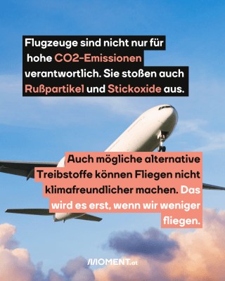 Flieger in der Luft. Text: Flugzeuge sind nicht nur für    hohe CO2-Emissionen   verantwortlich. Sie stoßen auch   Rußpartikel und Stickoxide aus.  Auch mögliche alternative   Treibstoffe können Fliegen nicht   klimafreundlicher machen. Das   wird es erst, wenn wir weniger   fliegen