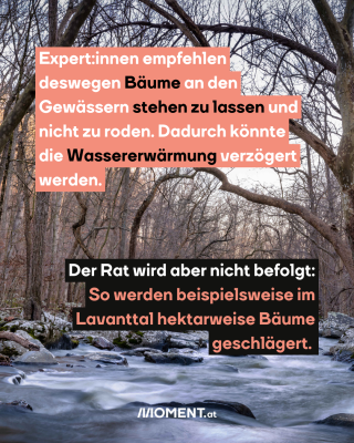 Fluss Wasser. Text:  Expert:innen empfehlen   deswegen Bäume an den   Gewässern stehen zu lassen und   nicht zu roden. Dadurch könnte   die Wassererwärmung verzögert   werden.  Der Rat wird aber nicht befolgt:   So werden beispielsweise im   Lavanttal hektarweise Bäume   geschlägert. 