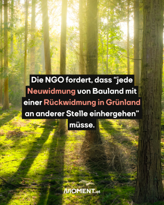Wald. Text:  Die NGO fordert, dass “jede   Neuwidmung von Bauland mit   einer Rückwidmung in Grünland   an anderer Stelle einhergehen”   müsse. 