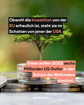  Obwohl die Investition von der   EU erfreulich ist, steht sie im   Schatten von jener der USA.  Diese wollen 2023 sechs   Milliarden US-Dollar in den   Schutz der Weltmeere   stecken. 