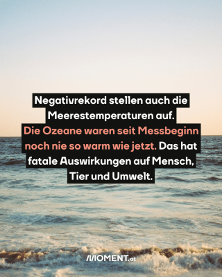 Meer. Text:  Negativrekord stellen auch die Meerestemperaturen auf. Die Ozeane waren seit Messbeginn noch nie so warm wie jetzt. Das hat fatale Auswirkungen auf Mensch, Tier und Umwelt.