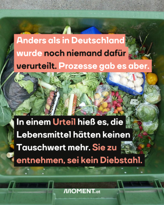 Mülltonne mit weggeworfenen Lebensmitteln, dazu der Text: Anders als in Deutschland wurde noch niemand dafür verurteilt. Prozesse gab es aber. In einem Urteil hieß es, die Lebensmittel hätten keinen Tauschwert mehr. Sie zu entnehmen, sei kein Diebstahl.