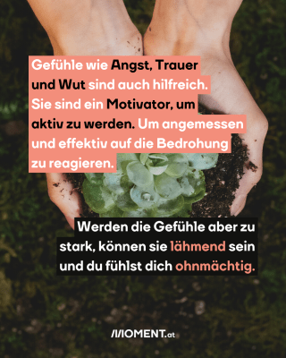 Gefühle wie Angst, Trauer und Wut sind auch hilfreich. Sie sind ein Motivator, um aktiv zu werden. Um angemessen und effektiv auf die Bedrohung zu reagieren. Werden die Gefühle aber zu stark, können sie lähmend und ohnmächtig machen.