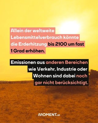 Eine dürre Landschaft ist zu sehen. Sandiger Boden, aus dem ein einzelner, trockener Strauch wächst. Der Himmel ist gelb und die Sonne leuchtet.