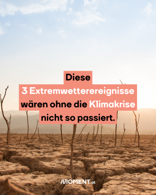 Vertrockneter Boden ist zu sehen, aus dem nur mehr dürre Äste ragen. Im Text: Diese 3 Extremwetterereignisse wären ohne die Klimakrise nicht so passiert.