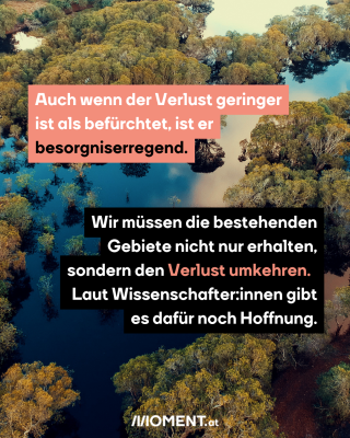 Auch wenn der Verlust geringer ist als befürchtet, ist er besorgniserregend.Wir müssen die bestehenden Gebiete nicht nur erhalten, sondern den Verlust umkehren.  Laut Wissenschafter:innen gibt es dafür noch Hoffnung.