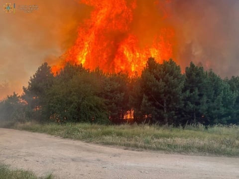 Waldbrand in der Ukraine nach russischem Beschuss: Der Ukraine Krieg verursachte in den ersten sieben Monaten 100 Millionen Tonnen CO2