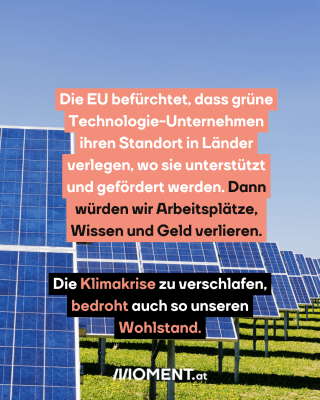 Solarpanele. Text: Die EU befürchtet, dass grüne   Technologie-Unternehmen   ihren Standort in Länder   verlegen, wo sie unterstützt   und gefördert werden. Dann   würden wir Arbeitsplätze,   Wissen und Geld verlieren. Die Klimakrise zu verschlafen,   bedroht auch so unseren   Wohlstand. 