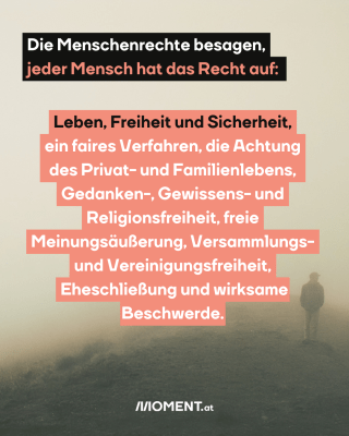 In dichtem Nebel ist ein Mensch von hinten zu sehen, der auf einem Hügel spaziert. Im Text: "Die Menschenrechte besagen, jeder Mensch hat das Recht auf: Leben, Freiheit und Sicherheit, ein faires Verfahren, die Achtung des Privat- und Familienlebens, Gedanken-, Gewissens- und Religionsfreiheit, freie Meinungsäußerung, Versammlungs- und Vereinigungsfreiheit, Eheschließung und wirksame Beschwerde."