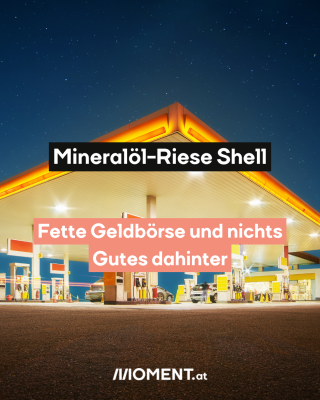 Tankstelle. Text:  Mineralöl-Riese Shell.  Fette Geldbörse und nichts   Gutes dahinter  