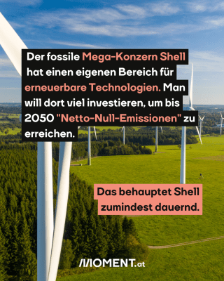 Windräder. Text:  Der fossile Mega-Konzern Shell    hat einen eigenen Bereich für   erneuerbare Technologien. Man   will dort viel investieren, um bis   2050 "Netto-Null-Emissionen" zu   erreichen.  Das behauptet Shell   zumindest dauernd.