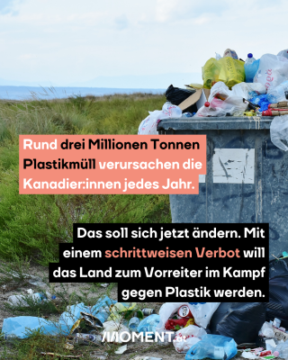 Eine Mülltonne aus Metall steht in einer Wiese. Sie quillt über und der Müll liegt bereits am Boden. Im Text: Rund drei Millionen Tonnen Plastikmüll verursachen die Kanadier:innen jedes Jahr. Das soll sich jetzt ändern. Mit einem schrittweisen Verbot will das Land zum Vorreiter im Kampf gegen Plastik werden."