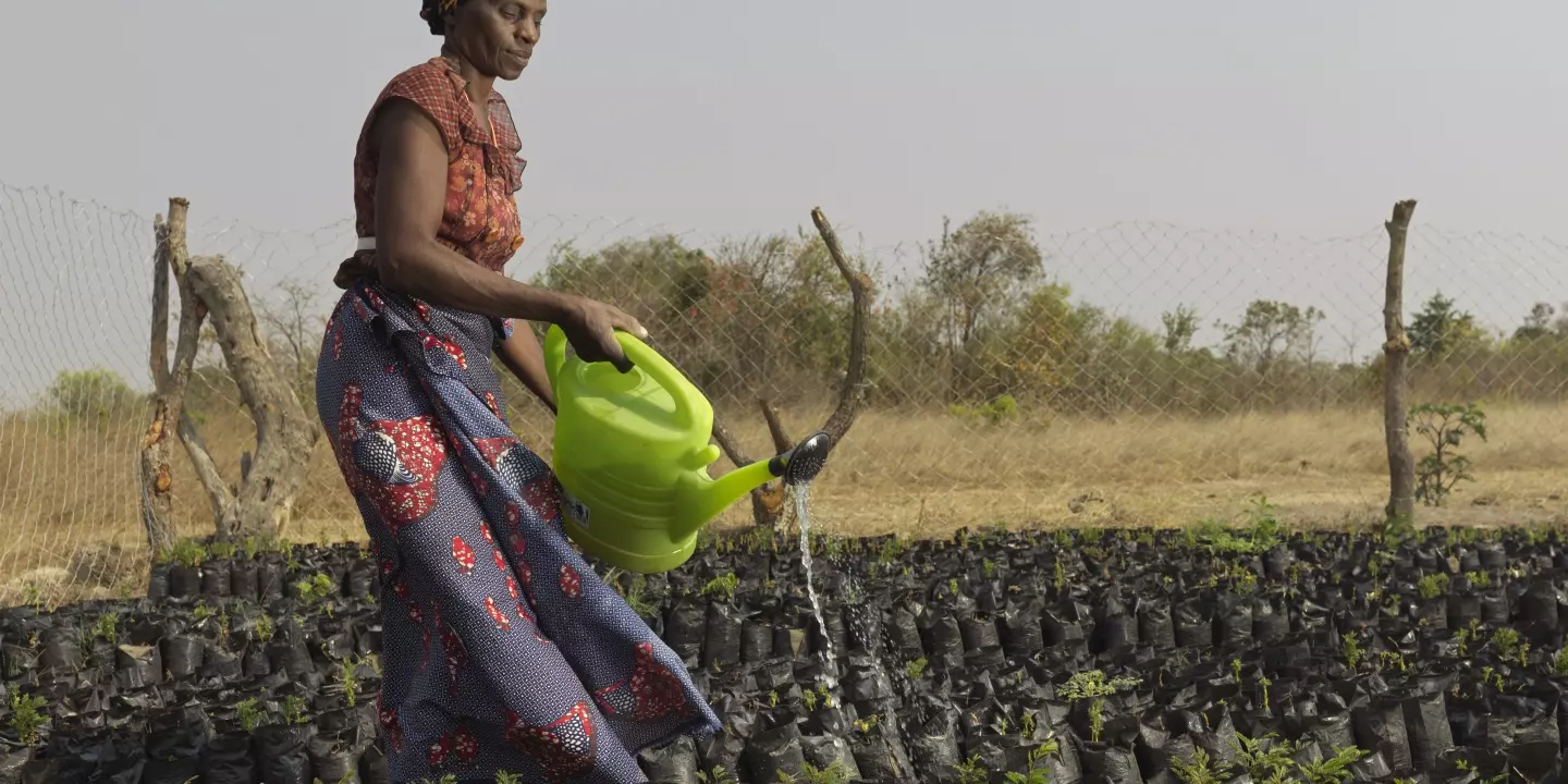 Eine Frau in einem langen Rock bewässert ihr Feld. Bebildert wird ein Artikel über vergessene Krisen 2023.