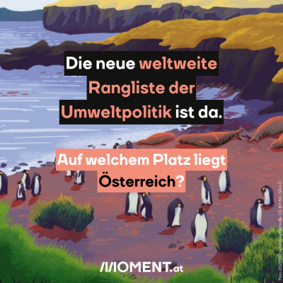 Die neue weltweite Rangliste der Umweltpolitik ist da.Auf welchem Platz liegt Österreich?