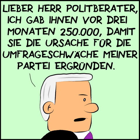 Plenk: "Lieber Herr Politikberater, ich gab ihnen vor drei Monaten 250.000, damit sie die Ursache für die Umfrageschwäche meiner Partei ergründen."