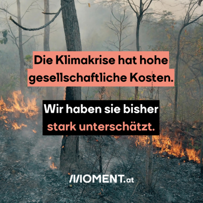 Die Klimakrise hat hohe gesellschaftliche Kosten. Wir haben sie bisher stark unterschätzt.