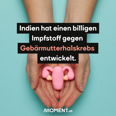 Zwei Hände formen auf türkisem Hintergrund eine Schale. Darin liegt eine künstliche Gebärmutter. "Indien hat einen billigen Impfstoff gegen Gebärmutterhalskrebs entwickelt."