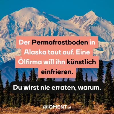 Der Permafrostboden in Alaska taut auf. Eine Ölfirma will ihn künstlich einfrieren. Du wirst nie erraten, warum.