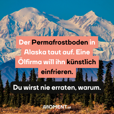 Der Permafrostboden in Alaska taut auf. Eine Ölfirma will ihn künstlich einfrieren.  Du wirst nie erraten, warum.