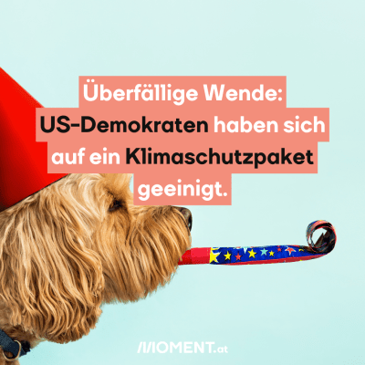 Ein Hund hat einen Partyhut auf und bläst in eine Papiertröte, die man bei Geburtstagsfeiern häufig verwendet. “Überfällige Wende: US-Demokraten haben sie auf ein Klimaschutzpaket geeinigt.”