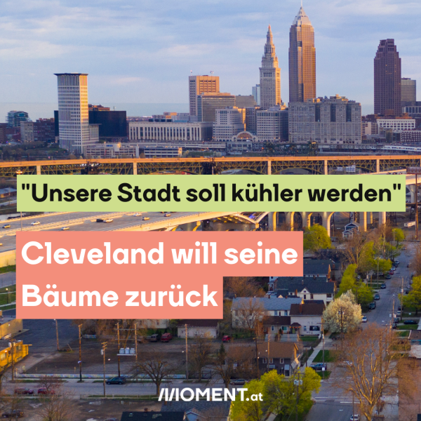 "Unsere Stadt soll kühler werden" Cleveland will seine Bäume zurück