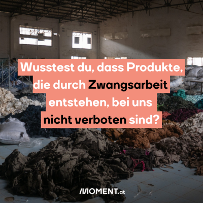 Wusstest du, dass Produkte, die durch Zwangsarbeit entstehen, bei uns nicht verboten sind?