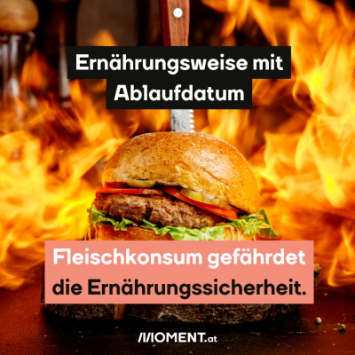 Ernährungsweise mit Ablaufdatum. Fleischkonsum gefährdet die Ernährungssicherheit. Man sieht einen Burger und dahinter Flammen.