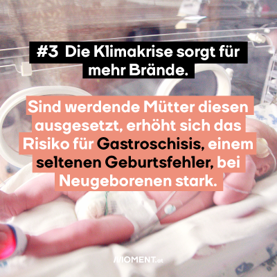 #3 Die Klimakrise sorgt für mehr Brände