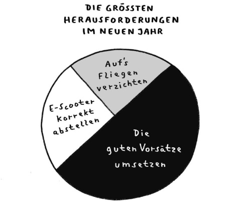 Tortengrafik über die Schwierigkeiten im neuen Jahr: 50% Gute Vorsätze umsetzen, 25% E-Scooter korrekt abstellen, 25% auf das Fliegen verzichten.