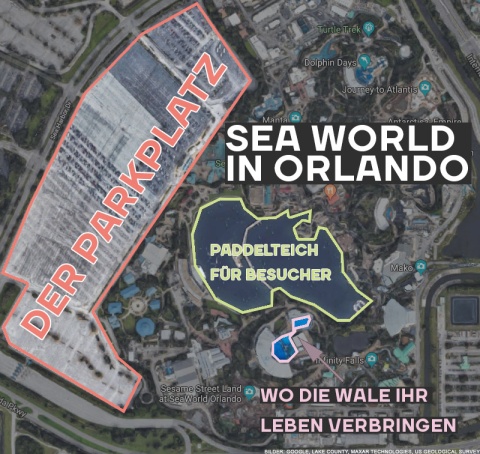 Eine Luftaufnahme zeigt das Verhältnis zwischen dem Parkplatz, dem Paddelteich und dem Walbecken in Sea World in Orlando/Florida. Der Parkplatz hat die dreifache Größe des Paddelteichs. Das Walbecken nimmt nur 1/10 der Fläche des Paddelbeckens ein.